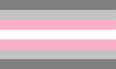 demigirl flag|omnisexual demigirl flag.